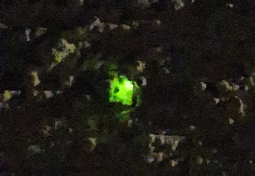 Internationale Tage des Erzählens