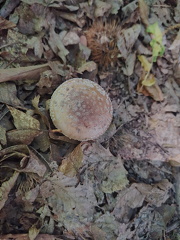 CvH20250628 153619 HDR