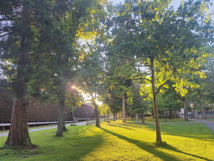 CvH20250629 200846 HDR